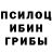 Псилоцибиновые грибы Magic Shrooms Valeriy Rednikov