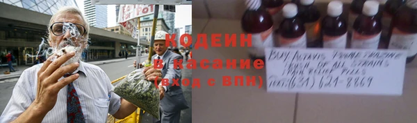 прущая мука Вяземский