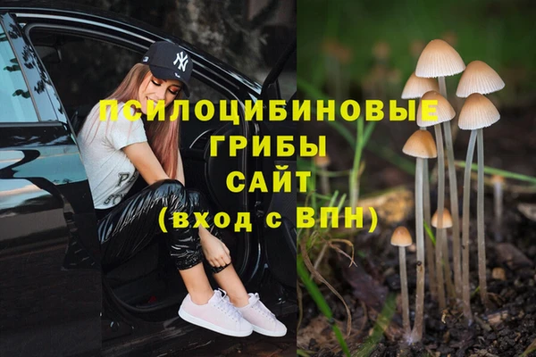 mdpv Горняк