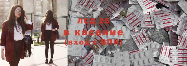 прущая мука Вяземский